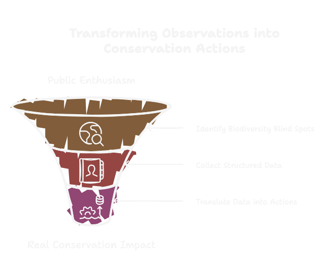 Solution Visualization