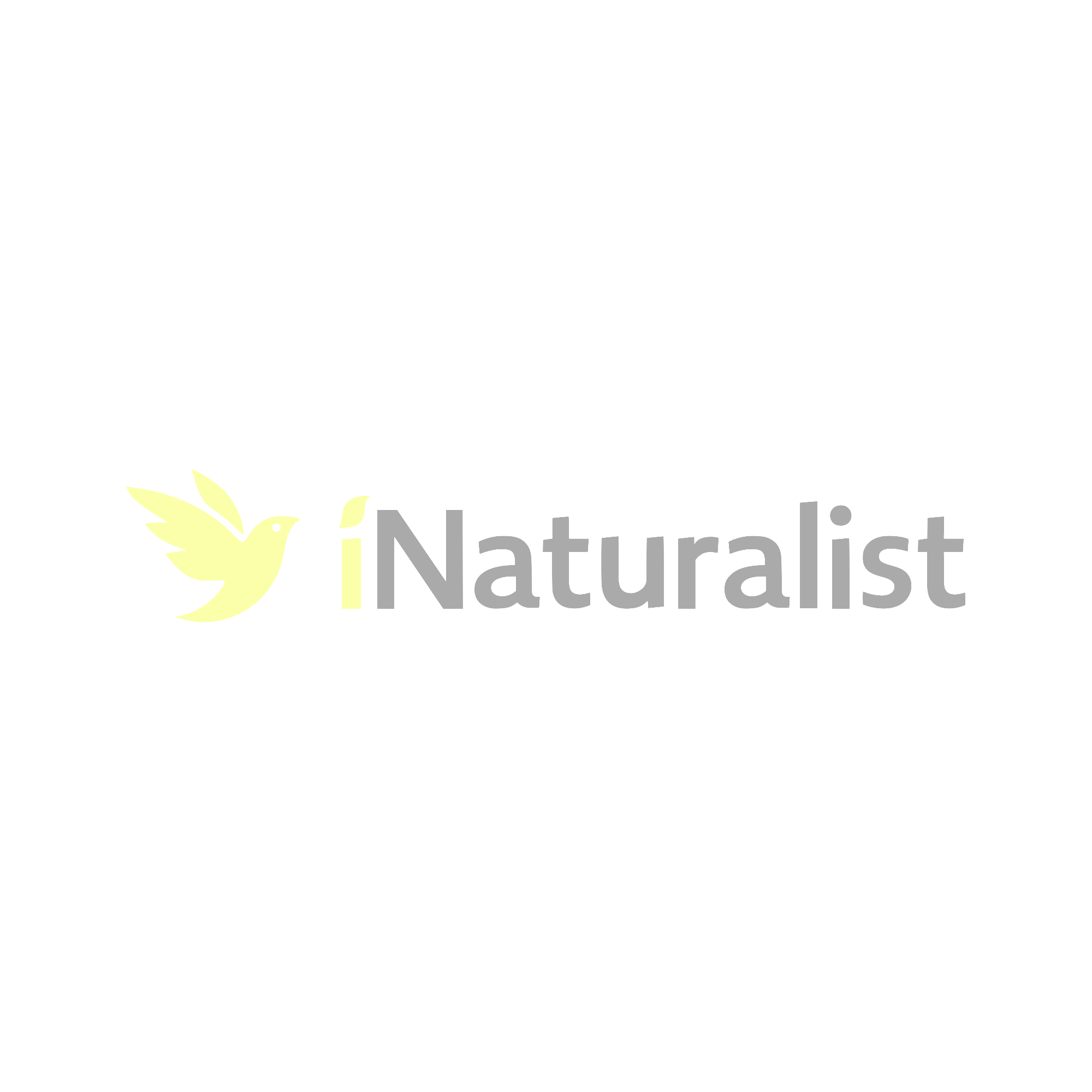iNaturalist